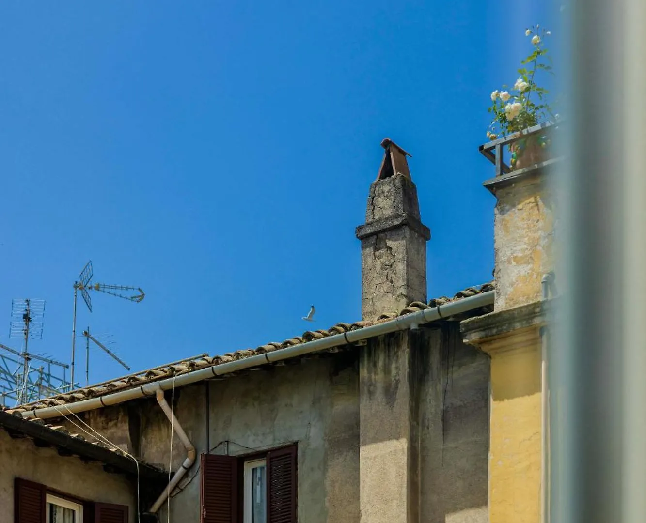 Apartment Trasteverehome - Giglio Piazza Farnese Rome Italy